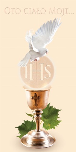 eucharystia 06_rollup.jpg