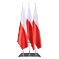 teczka DOMINO_flagi RP 1.jpg
