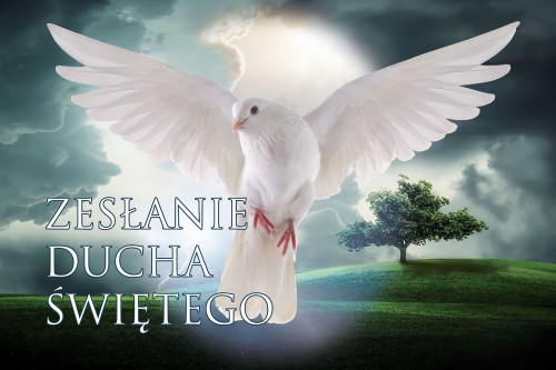 flaga 09_Zesłanie Ducha Świętego.jpg