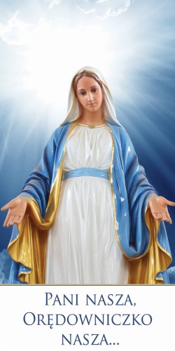 Maria 4_rollup.jpg