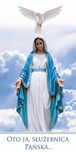 Maria 5_rollup.jpg