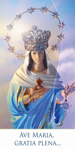 Maria 6_rollup.jpg